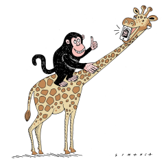 ZOO SELFIE STICK by Osmani Simanca