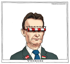 VISION by Joep Bertrams