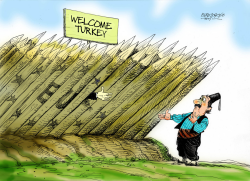 WELCOME TURKEY by Petar Pismestrovic