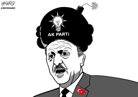 ERDOGAN by Rainer Hachfeld