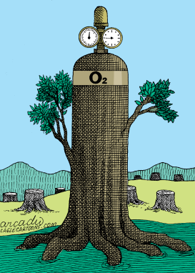 ARBOLES LLENOS DE VIDA by Arcadio Esquivel