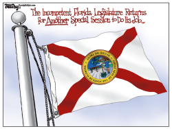 LOCAL FL  SPECIAL SESSION by Bill Day