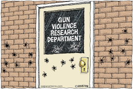 GUN VIOLENCE RESEARCH by Wolverton