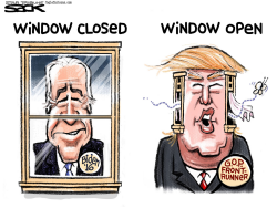 BYE BIDEN by Steve Sack