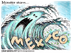 MEXICO HURRICANE by Dave Granlund