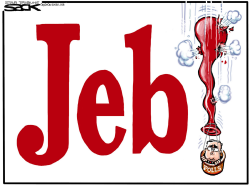 JEB FREEFALL by Steve Sack