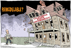 LOCAL-CA REMODELING CALIF GOVERNMENT by Wolverton