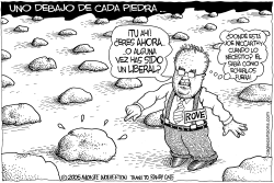 EL SUSTO ROJO DE KARL ROVE by Wolverton