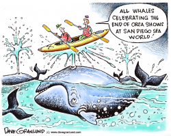 SAN DIEGO ORCA SHOW ENDS by Dave Granlund