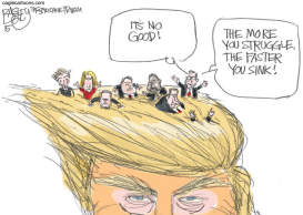 DONALD'S HAIR by Pat Bagley