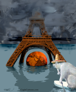 COP 21 IN PARIS by Riber Hansson