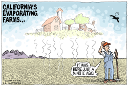 LOCAL-CA EVAPORATING FARMS by Wolverton