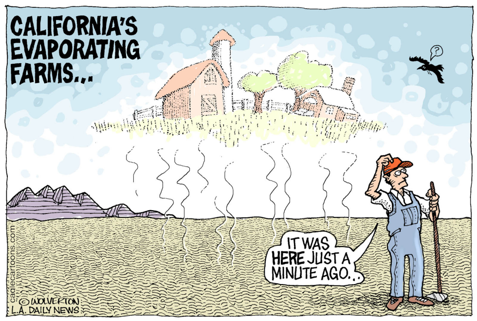  LOCAL-CA EVAPORATING FARMS by Wolverton