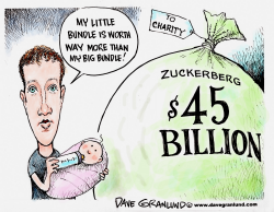 ZUCKERBERG AND BUNDLES by Dave Granlund