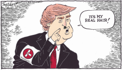 DONALD TRUMP by Bob Englehart