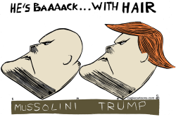 TRUMPOLINI by Randall Enos