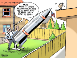 AMERICAN ARMS RIGHT by Paresh Nath