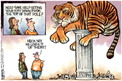 CLEMSON ON TOP LOCAL by Rick McKee