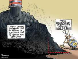 PARIS CARBON COMMITMENTS by Paresh Nath