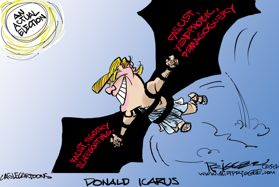  DONALD ICARUS by Milt Priggee