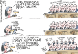 STATE LEGISLATURES CONSIDER MEDICAL MARIJUANA by Pat Bagley