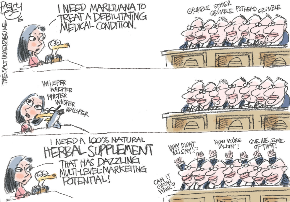  STATE LEGISLATURES CONSIDER MEDICAL MARIJUANA by Pat Bagley