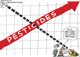 CASE OF THE MURDERED BEES by Pat Bagley