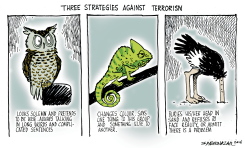 THREE STRATEGIES AGAINST TERRORISM by Sabir Nazar