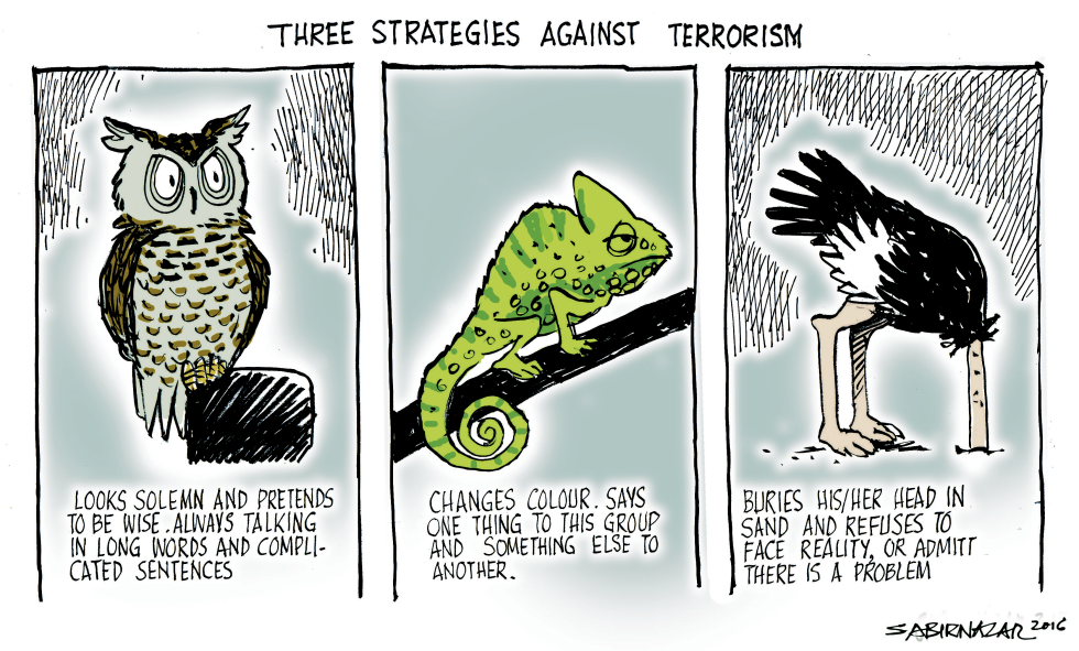  THREE STRATEGIES AGAINST TERRORISM by Sabir Nazar