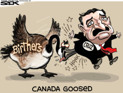 CANADIAN CRUZR by Steve Sack