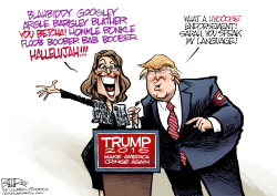 PALIN ENDORSEMENT by Nate Beeler