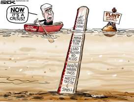 FLINT FAIL by Steve Sack