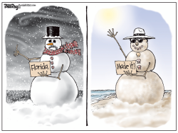 LOCAL FL  SNOWMAN   by Bill Day