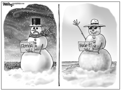 LOCAL FL  SNOWMAN   by Bill Day