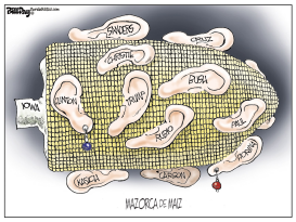 CAUCUS EN IOWA  by Bill Day