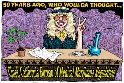 LOCAL-CA MEDICAL MARIJUANA CHIEF by Wolverton