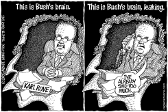 THIS IS BUSHS BRAIN by Wolverton