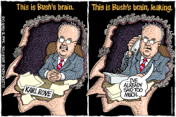 THIS IS BUSHS BRAIN   by Wolverton