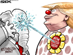 CLOWN KING by Steve Sack