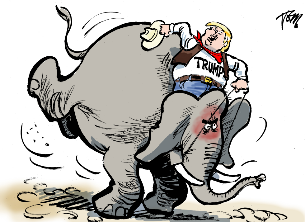  TRUMP AND GOP by Tom Janssen