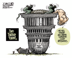 MCCONNELL TURNS TURTLE by John Cole