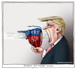 PAIN IN THE ASS by Joep Bertrams