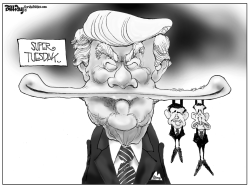 SUPER TUESDAY   by Bill Day