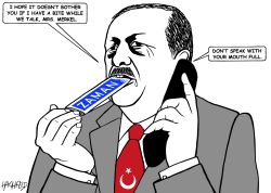 ERDOGAN CALLS MERKEL by Rainer Hachfeld