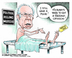 BERNIE 2016 AND POLLS by Dave Granlund