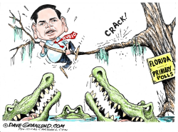 RUBIO AND FLORIDA POLLS by Dave Granlund