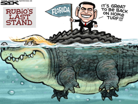 RUBIO GATOR by Steve Sack