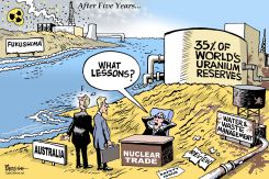 FUKUSHIMA LESSONS by Paresh Nath