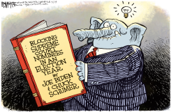 SUPREME COURT BLOCK by Rick McKee