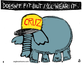 THE CRUZ FIT by Randall Enos